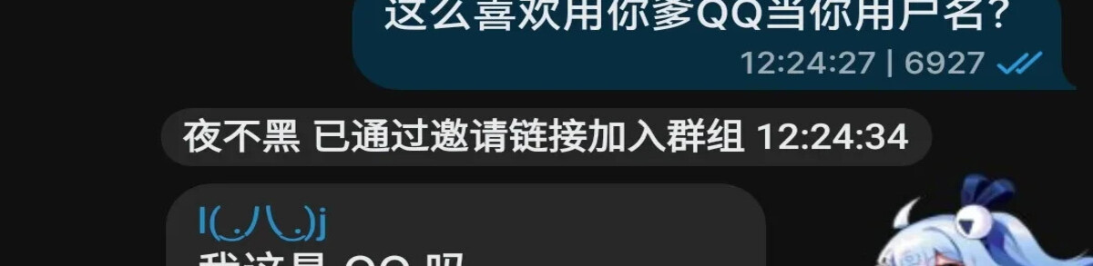 重要说明