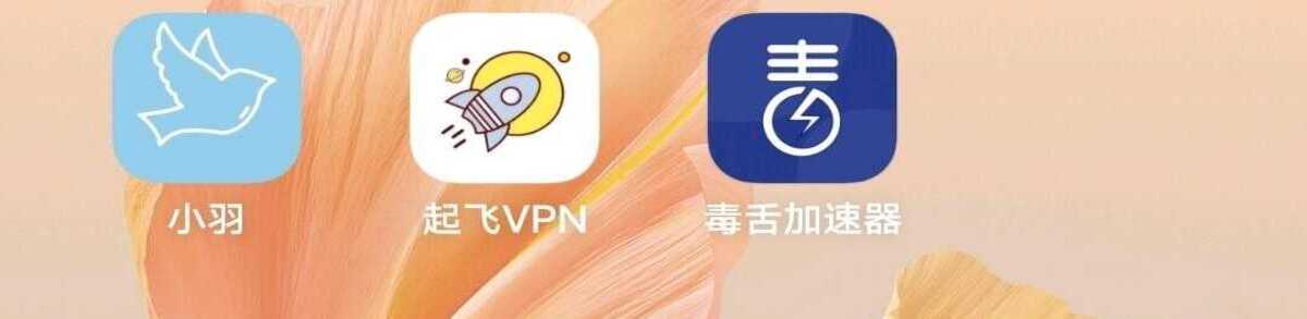 分享个好用的加速器