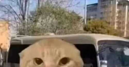 戒色打卡第二天