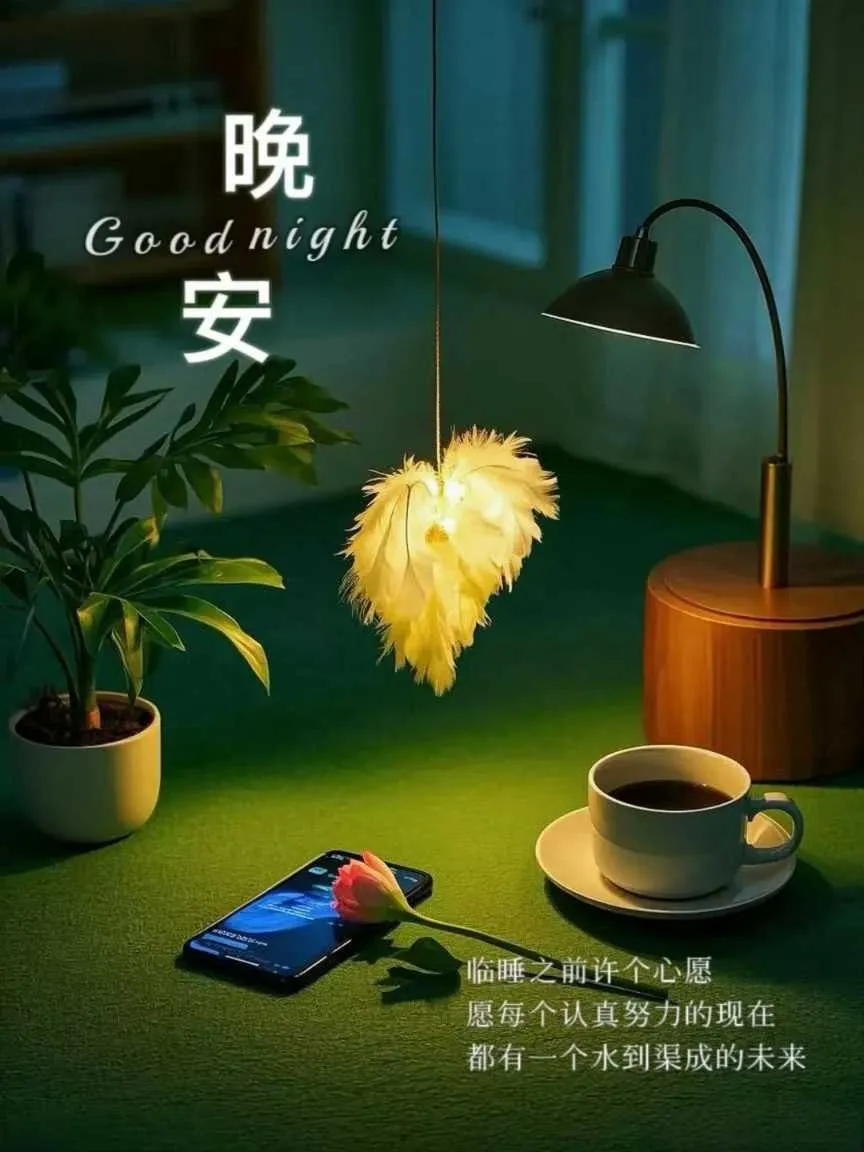 1000007312.webp