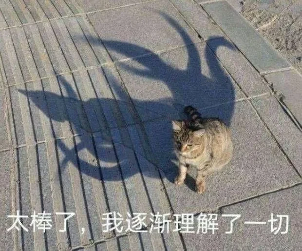 1000117046.webp