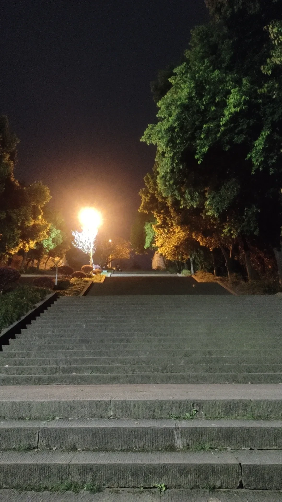wx_camera_1743690302963.webp