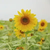 1000023772.webp