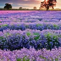 1000023799.webp