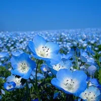 1000023803.webp