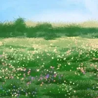 1000023801.webp