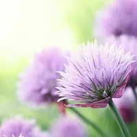 1000023810.webp