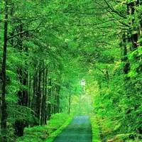 1000023813.webp