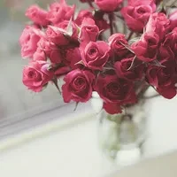 1000023821.webp