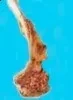 1000022295.webp