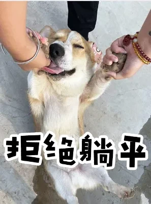 Screenshot_20250408_083520_com.midea.connect.webp