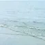 10061.webp