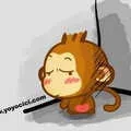 1000025409.webp