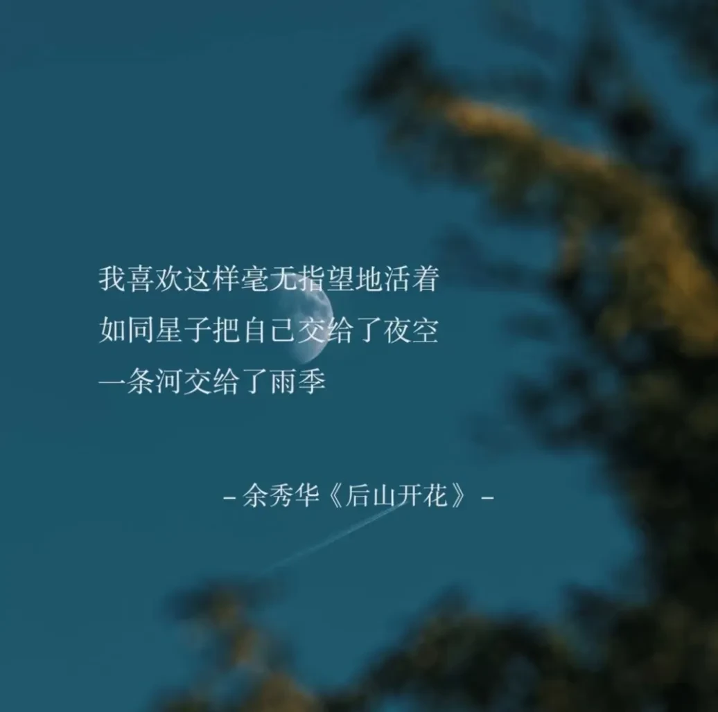 1000120921.webp