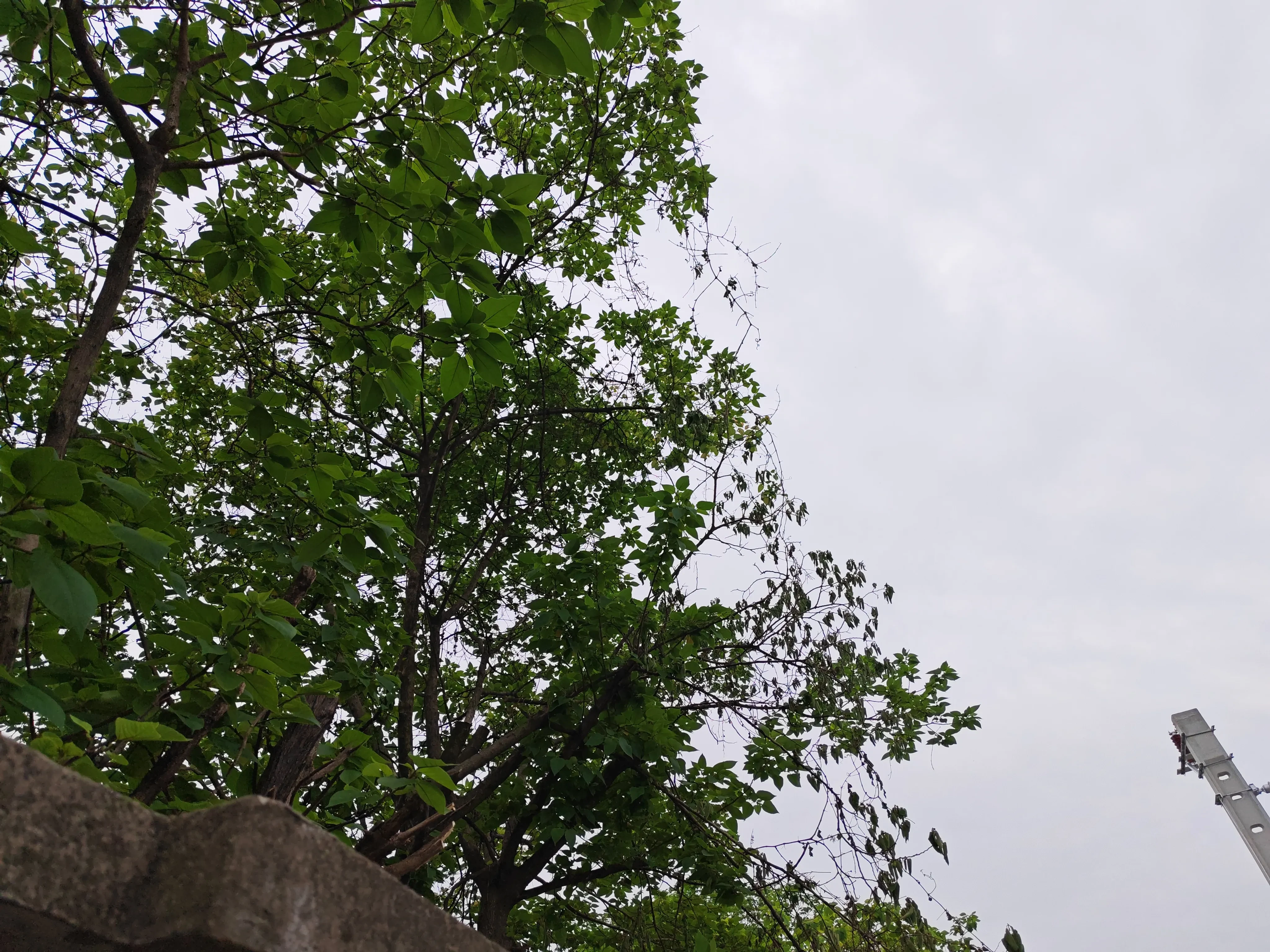 1745462824428.webp