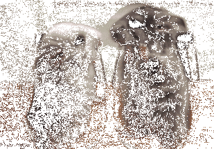f4c5049380cedbed2b444419ce325f3f.gif