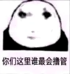 6A5C06EBF25335C49F7E1C4445574F44.webp