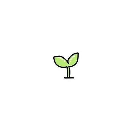 1000024361.webp
