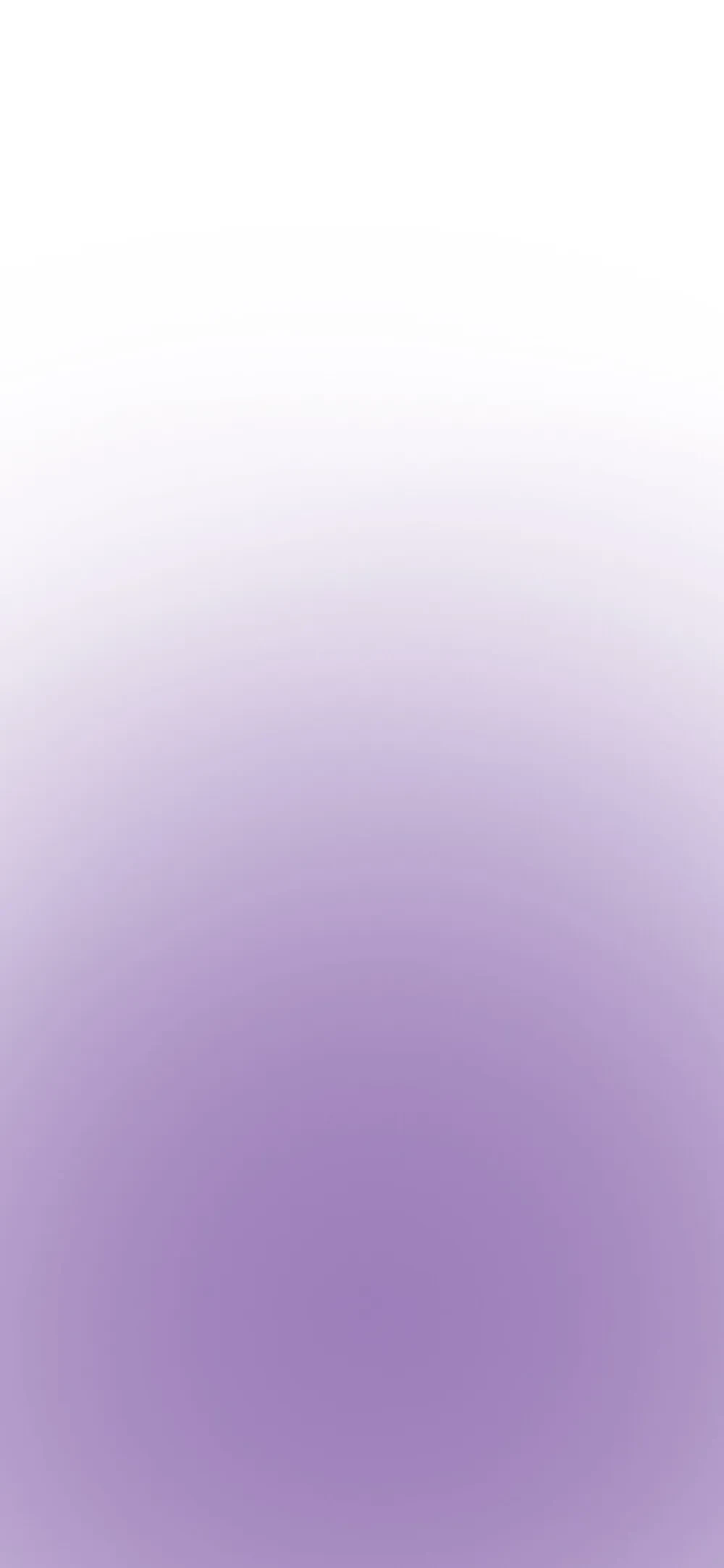 25-04-28-04-00-04.webp