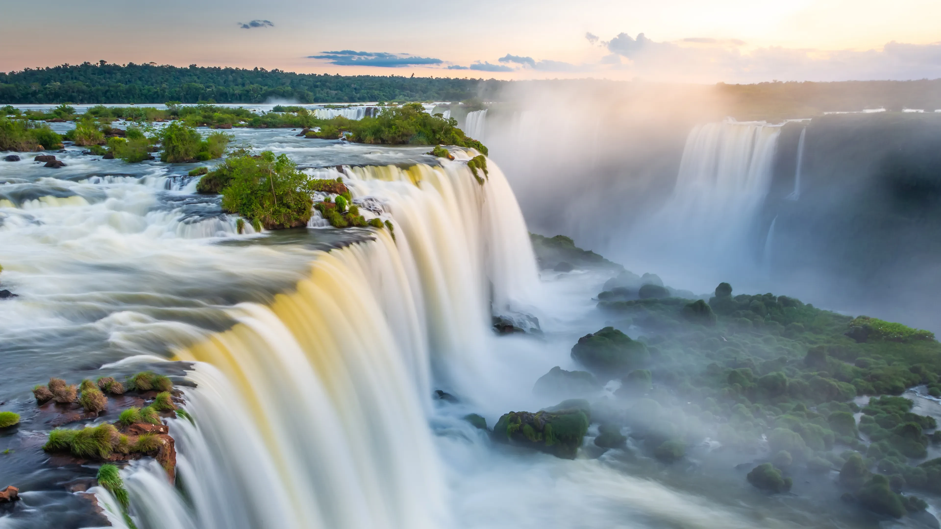 1000000604.webp