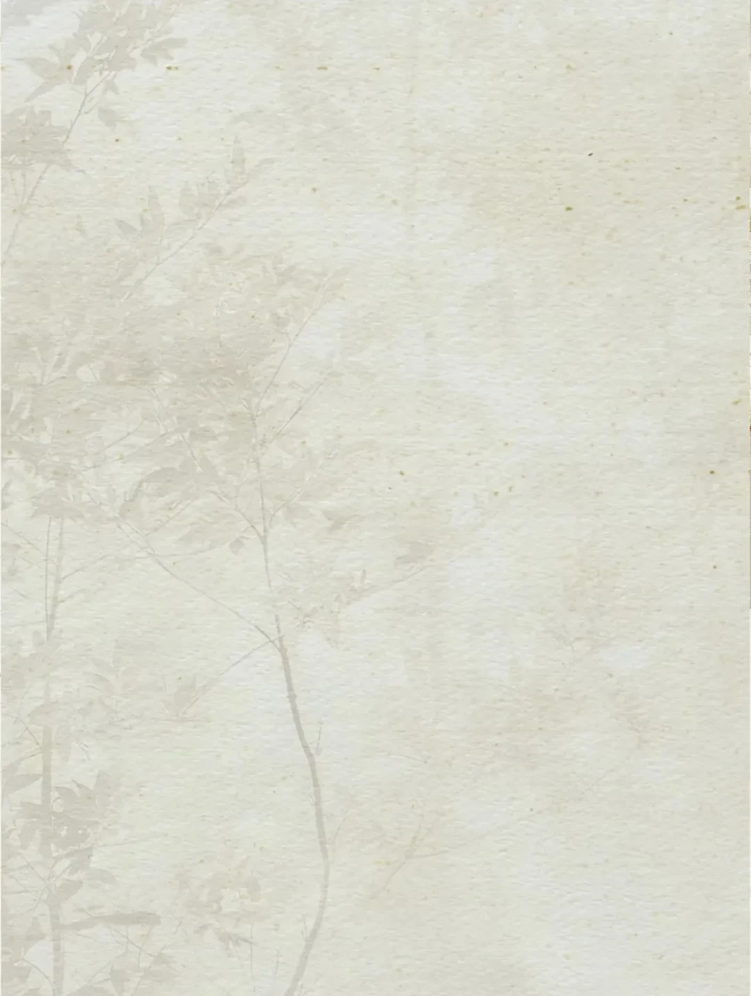232248xc19wl5bgoczgzol.webp