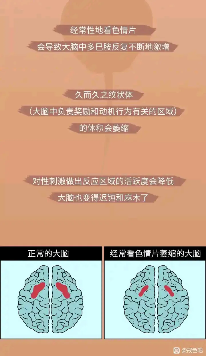 1000023504.webp