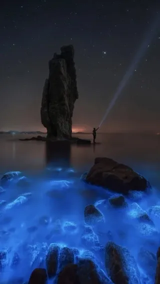 1748655876665.webp