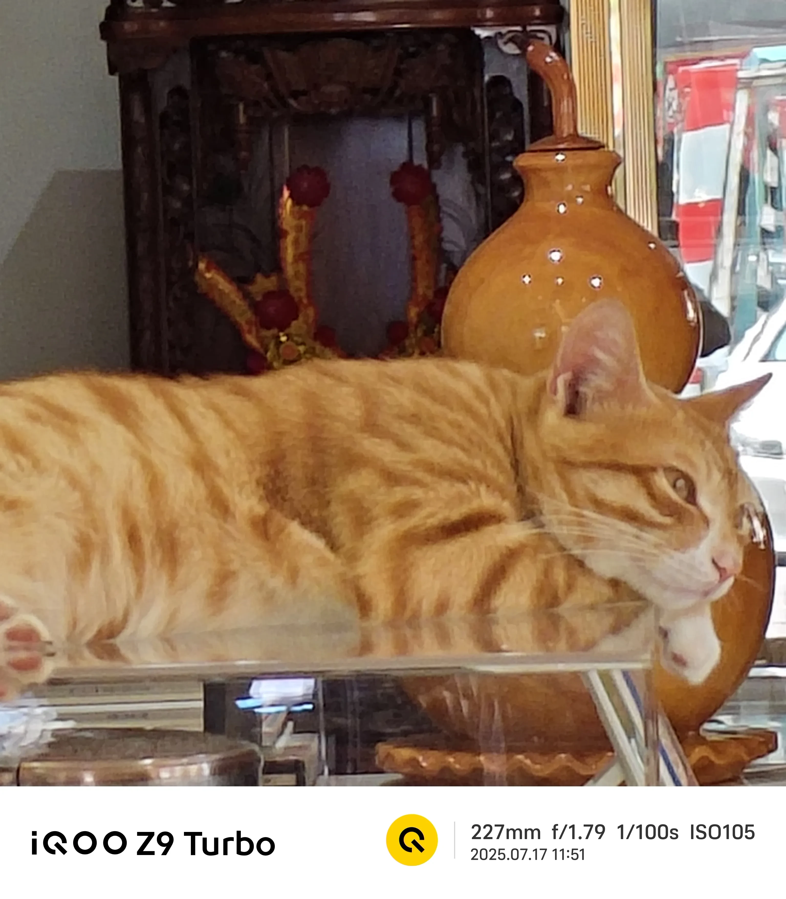 IMG_20250717_115122.webp