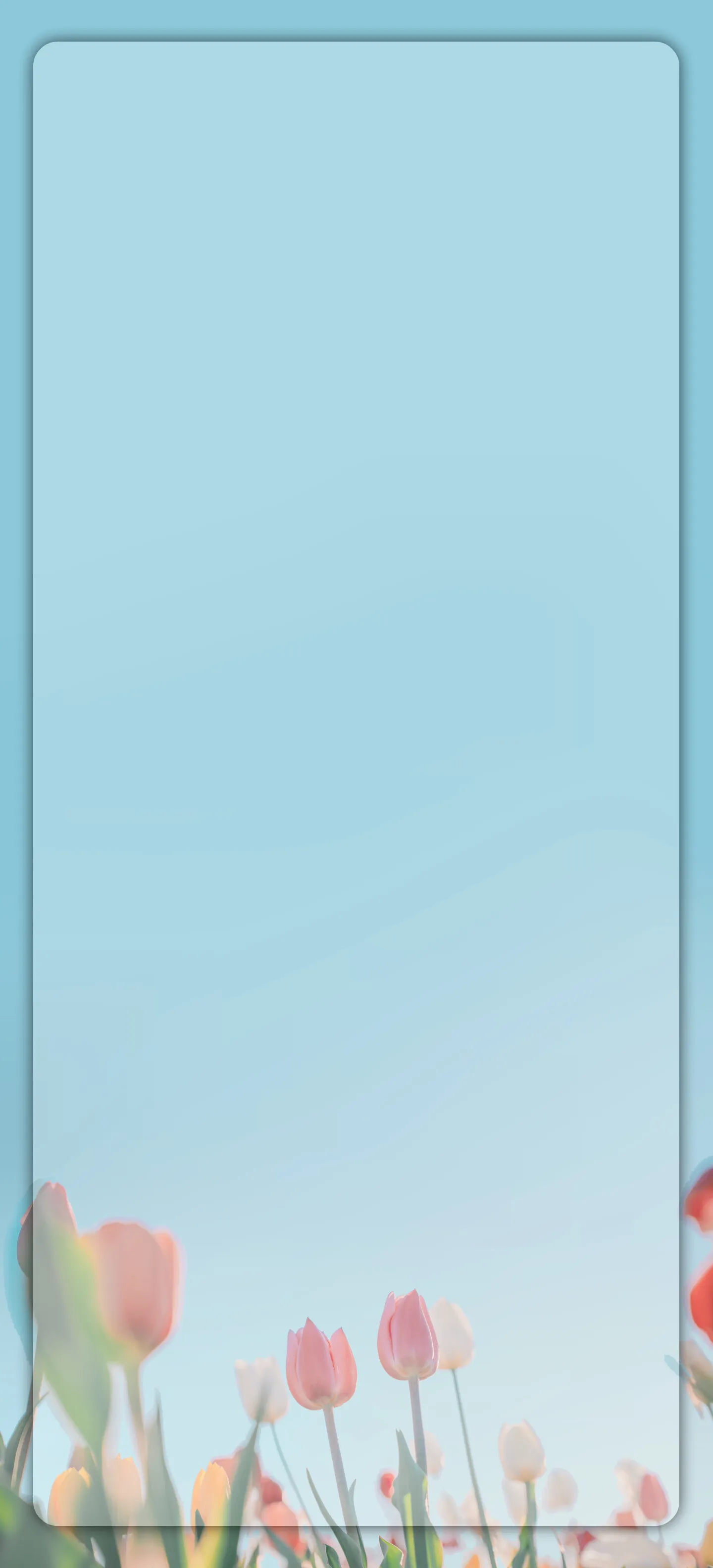 1000001595.webp