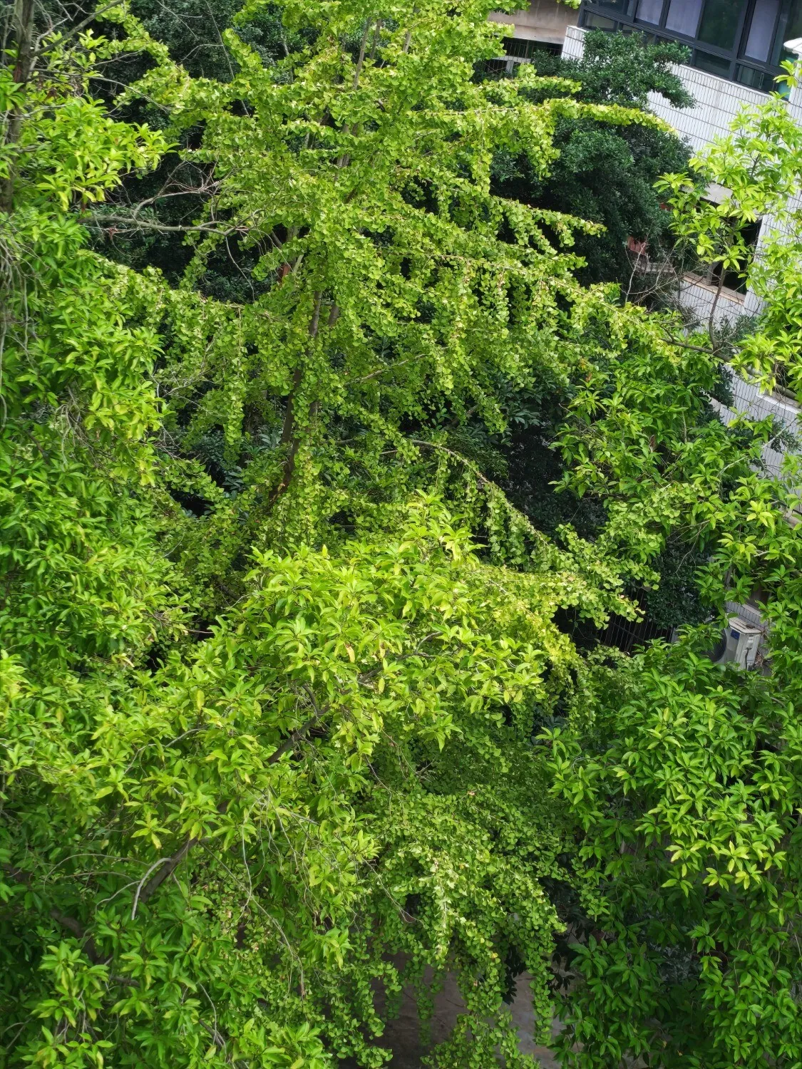 1000003391.webp