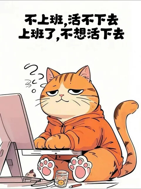 AHYufCk3z~tplv-dy-shrink_480_641.jpg
