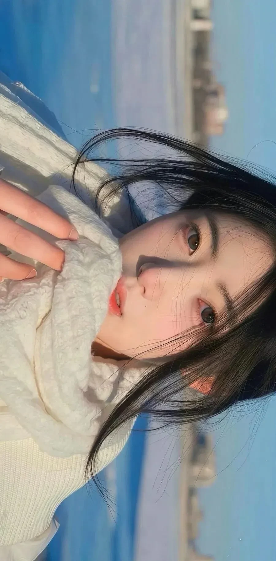 分享