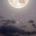 星光の暗夜